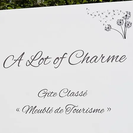 Grand Avec Piscine - A Lot Of Charme * Puy-l'Eveque